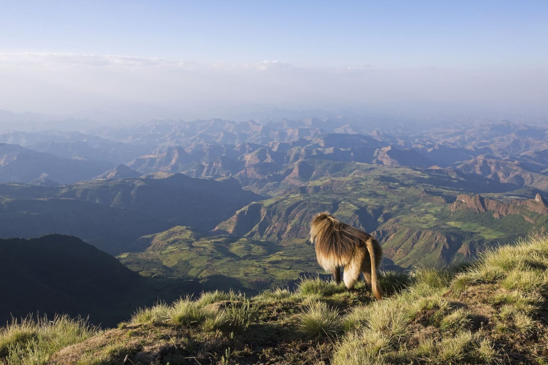 Affordable Safari: Simien Mountains on a Budget